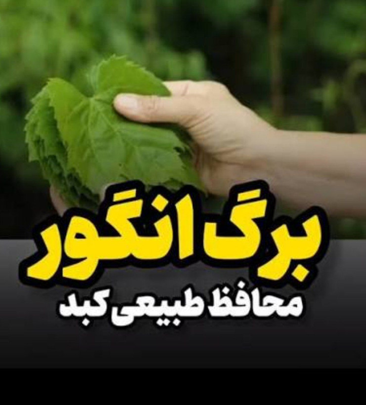 دست چین برگ مو انگور روغنی دلمه ای خوشمزه نمین 300گرمی