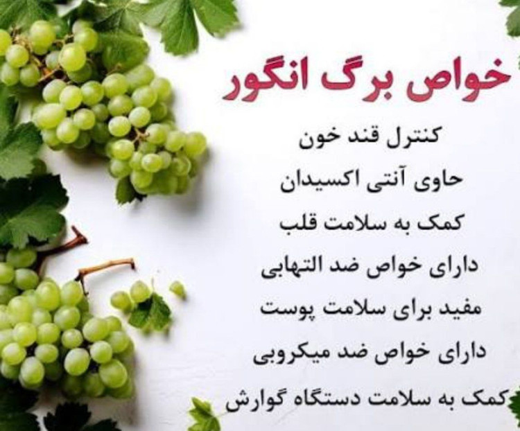 دست چین برگ مو انگور روغنی دلمه ای خوشمزه نمین 300گرمی